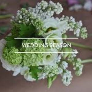 Wedding Season is Here!